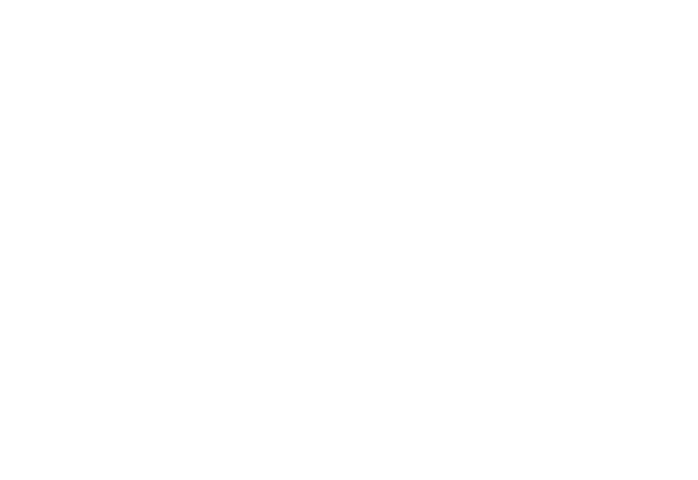 White logo showcasing collaboration with Cleanie