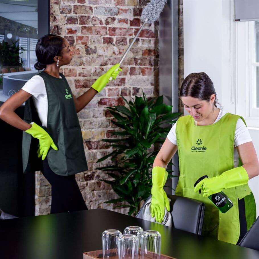 Professional cleaning team at Cleanie office